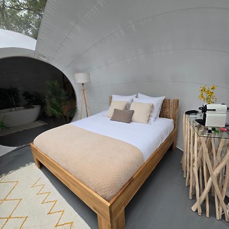 La Bulle Perchee De Chantilly Gouvieux Eksteriør billede